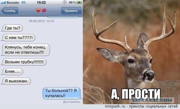 
Ты Где