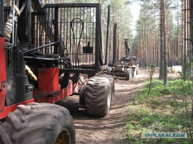 Будни лесозаготовителя