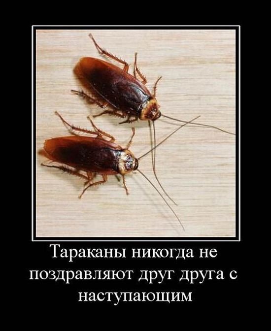 Вы хотите "демов"? часть 2-я
