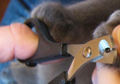 Виски с Колой