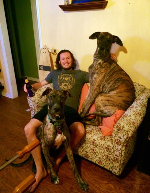 Подборка красивых картинок