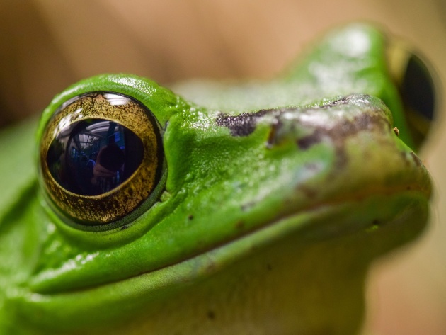 Картинки из сети (07.04.16)