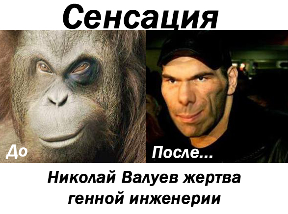 Фотожаба: Желтая пресса