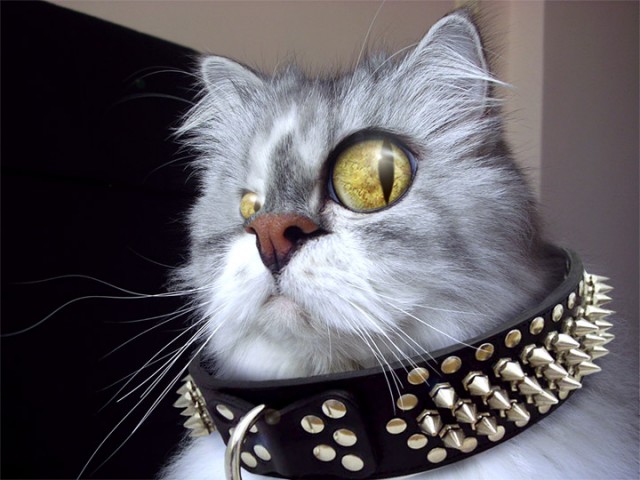 Современная экипировка солдат, делающая их похожими на пришельцев из будущего