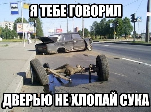 Картинки и приколы из сети