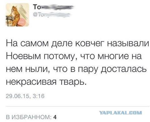Смешные комментарии из социальных сетей 14.04.2017