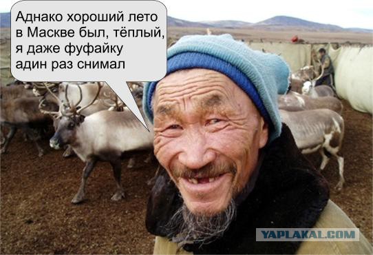 Голицыно, Подмосковье. 100-е февраля.