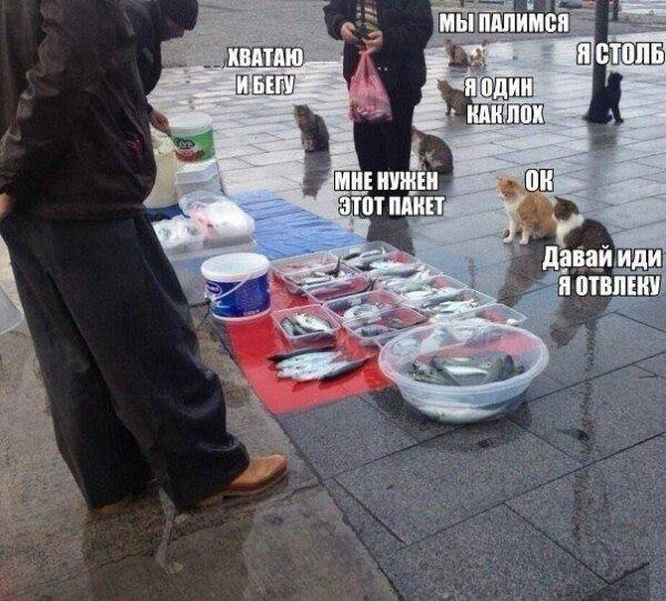 Подборка интересных и веселых картинок