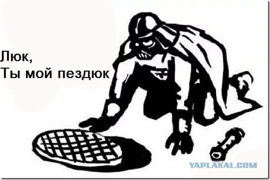 Кубок конфедераций 2017