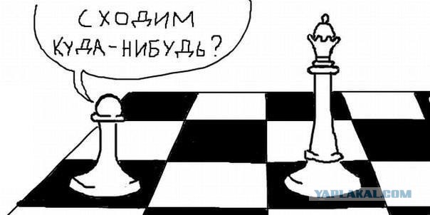 Глава Минобрнауки поддержала идею введения уроков шахмат в школах