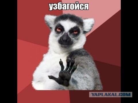 Про водителей и водятлов