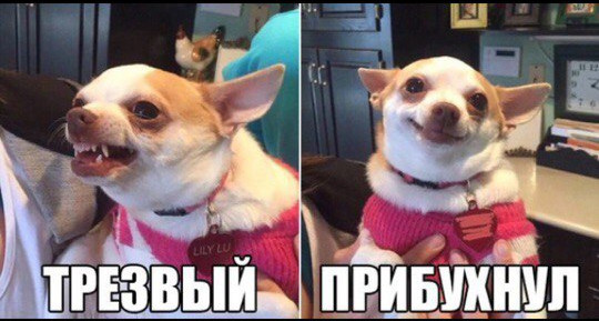 Шведская журналистка назвала российских мужчин безответственными слабаками