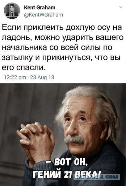 Я знаю, что вы делаете! Картинки смотрите!