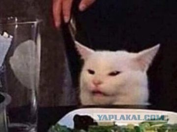 Смотрел на этот беспредел весь полёт