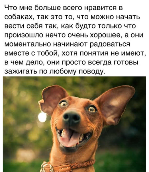Немного картинок для настроения 09.11.20