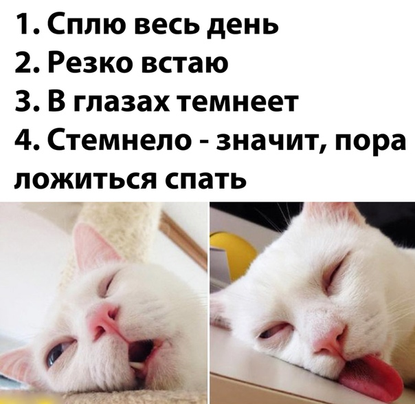 Юмор в картинках 11.11.2020 (2)