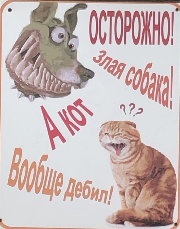 Картинки и мемы для настроения 19.08.2021