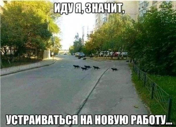 Так себе картинки 10.09.22