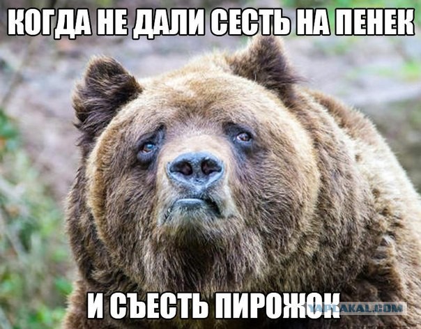 Так себе картинки 08.10.22