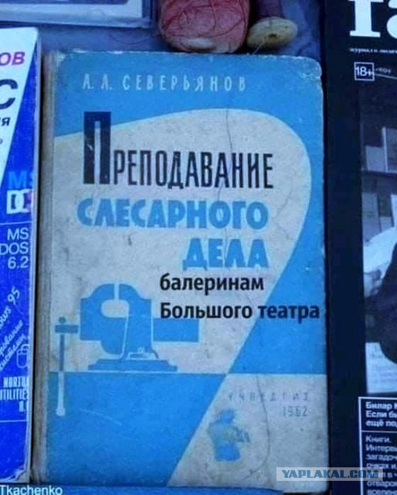 Забавные комментарии из социальных сетей (06.02.23)
