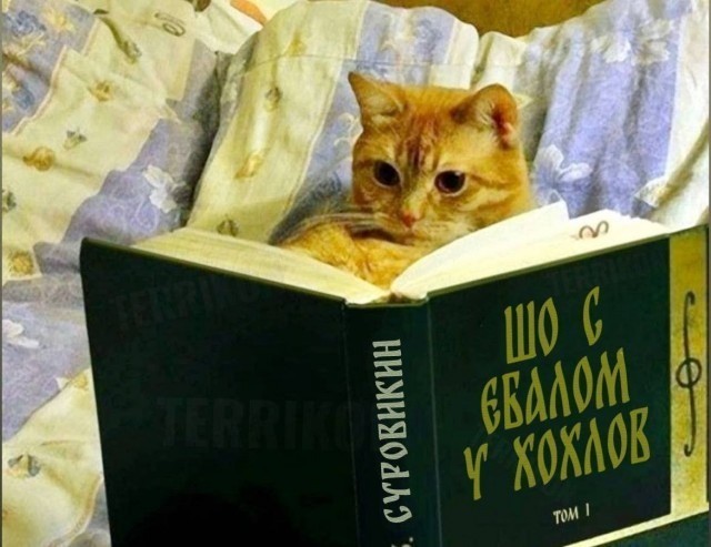 Лучше бы спортом продолжал заниматься?
