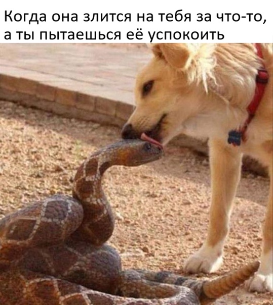 Картинки и мемы, всяко разно - 171
