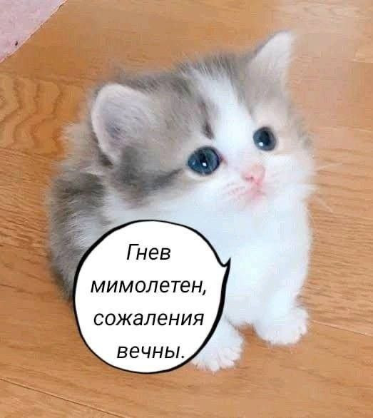 Картинки и мемы для настроения - 181