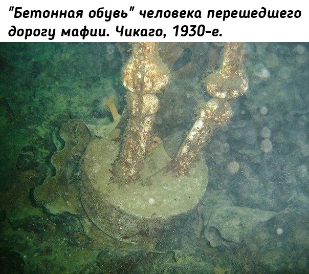 Небольшая подборка исторических фото (02.08)