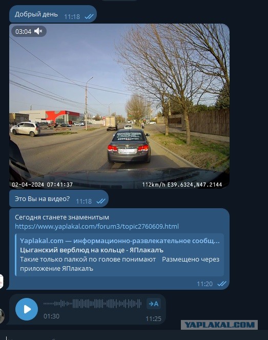 Цыганский верблюд на кольце
