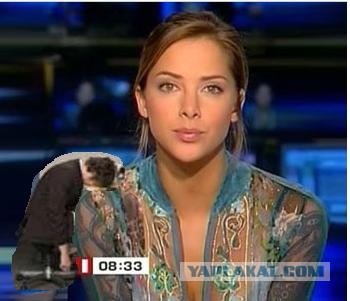 Мертвый аналитик четыре дня просидел в офисе