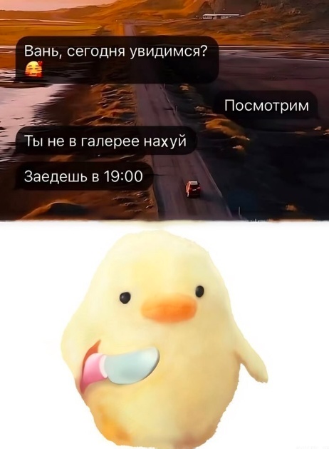 Так себе картинки 26.08.24