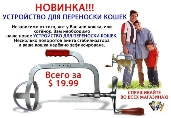 Парень показал, как делает ингаляцию своему коту, у которого астма