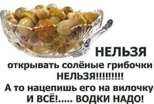 Весёлый полтишок 31.12.24