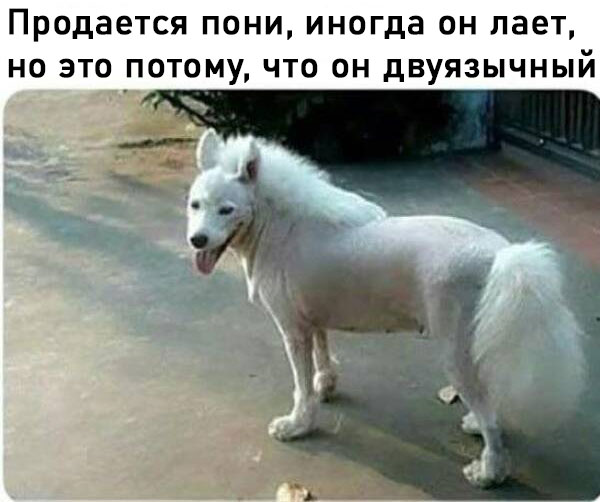 Веселые картинки в маленькую пятницу (14.05)