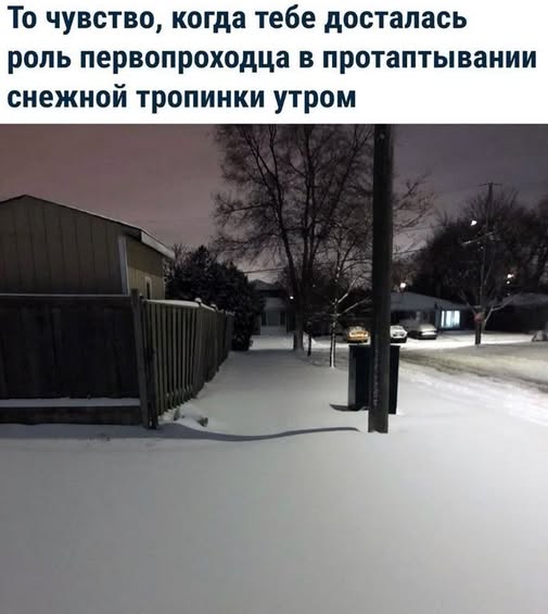 Пятничные бояны
