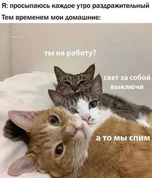 Картиночки, баянчики 27 марта