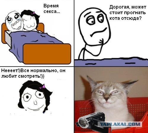 Американцы шутят. Часть 1