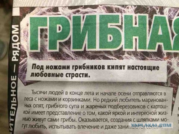 Добро пожаловать в мир грибов