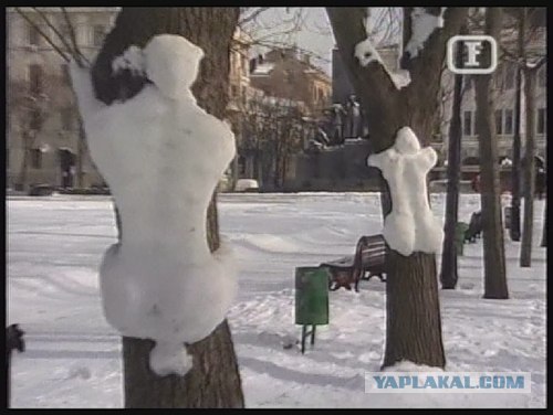 Сам белый, а хвост пупочкой?