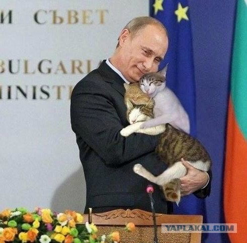 Французский "Мистраль" это многоходовка Путина