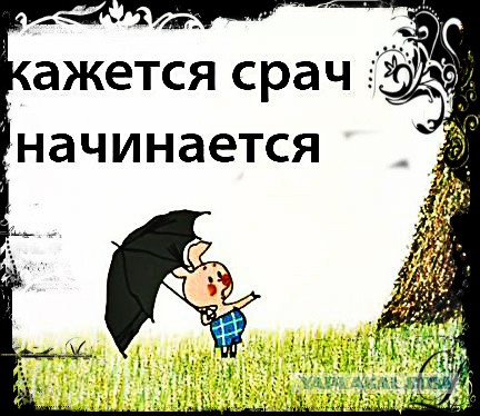 В России по-прежнему не любят дизель.