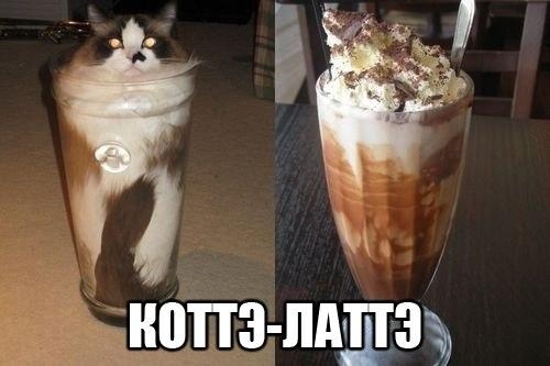 Котовторник
