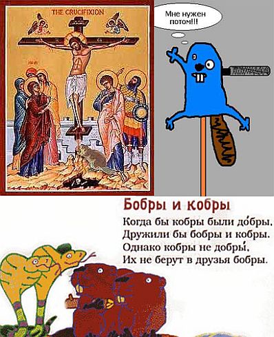 ГРЫЗУНЫ. Мыши, крысы, хомячки и т.д.