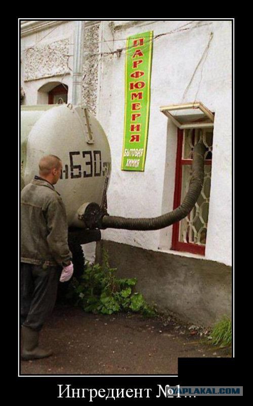 Смешные картинки с надписями