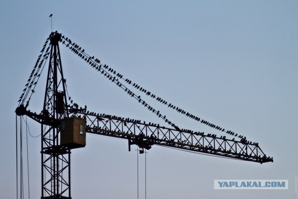 Интересные и веселые картинки