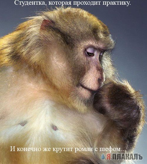 Офис в лицах (15 фото)
