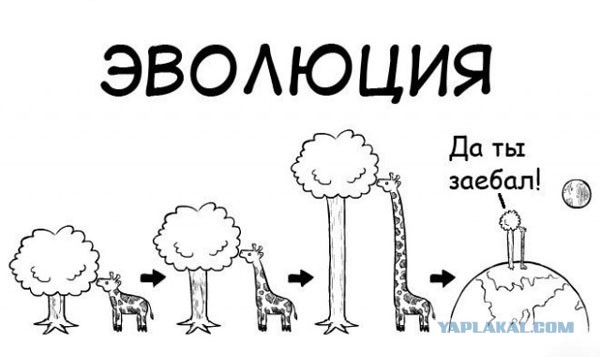 Ударная доза тупежа на начало недели