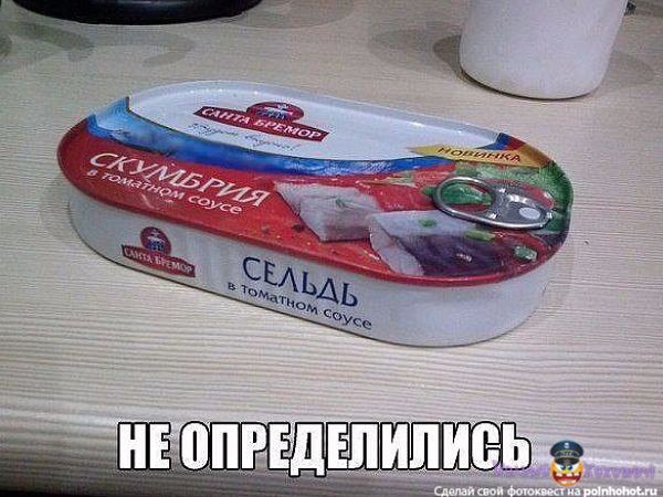 Ассорти картинок из сети