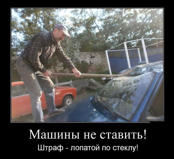 Картинки и гифки, глаза порадовать