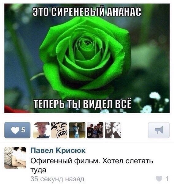 Ужасы и приколы из соцсетей 18+